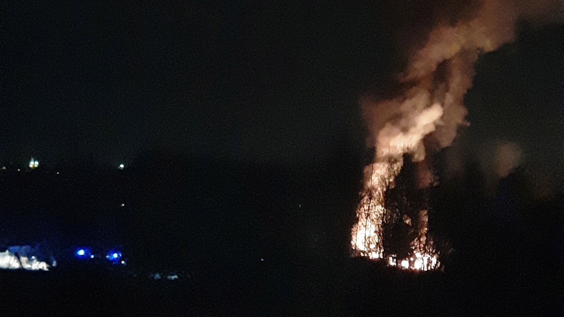 pożar ogródków Cegielniana