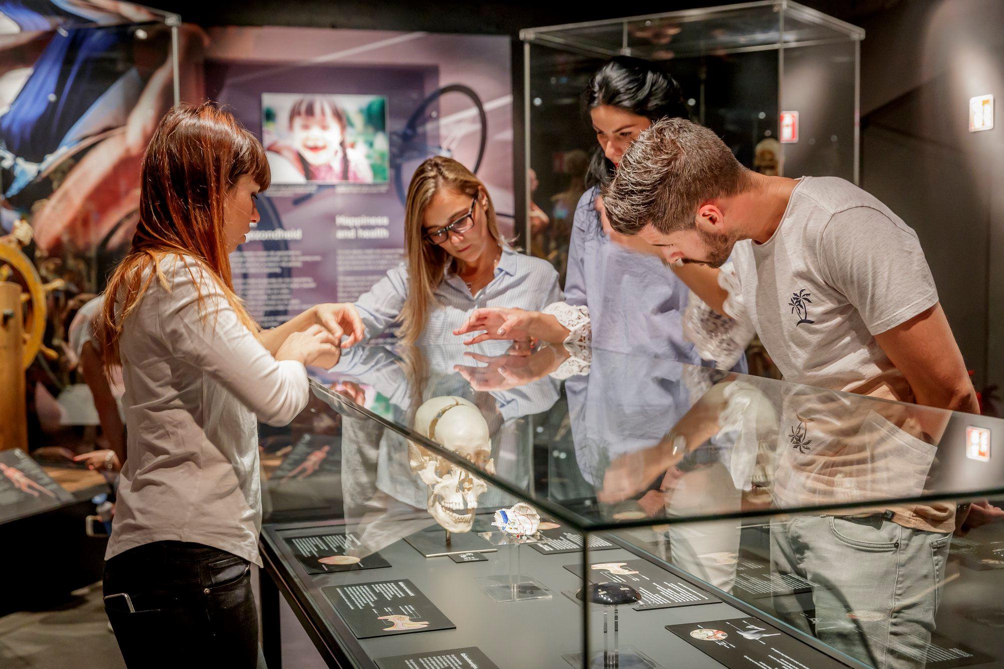 Wystawa BODY WORLDS powraca do Katowic z nową ekspozycją!