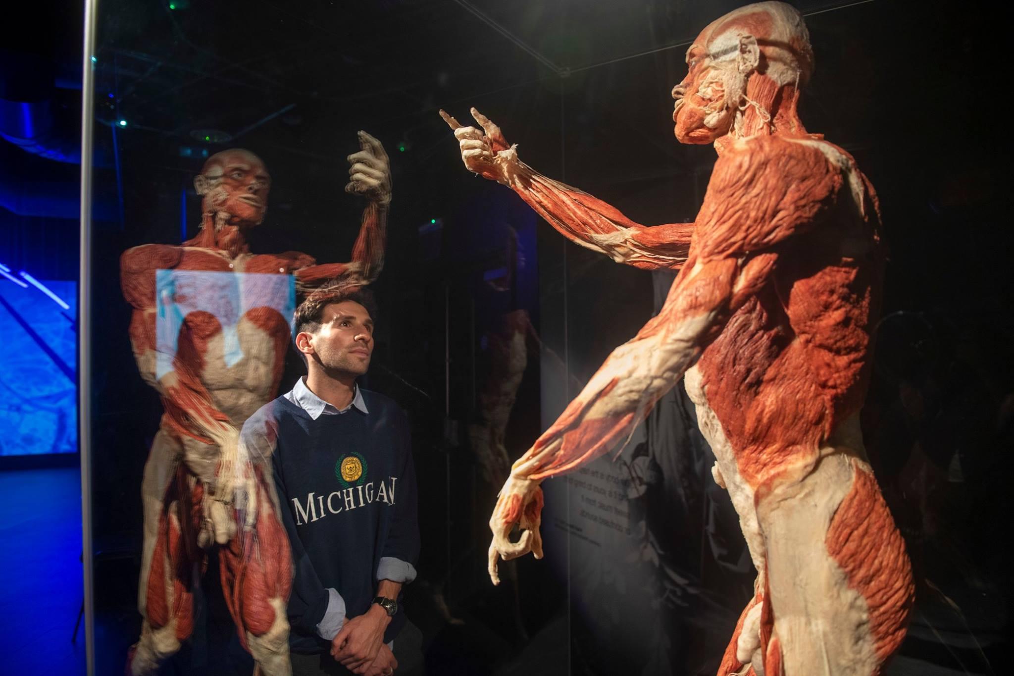 Wystawa BODY WORLDS powraca do Katowic z nową ekspozycją!