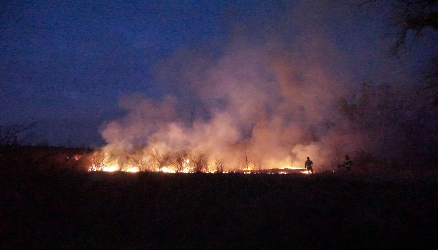 Bytom pożar trawy 2