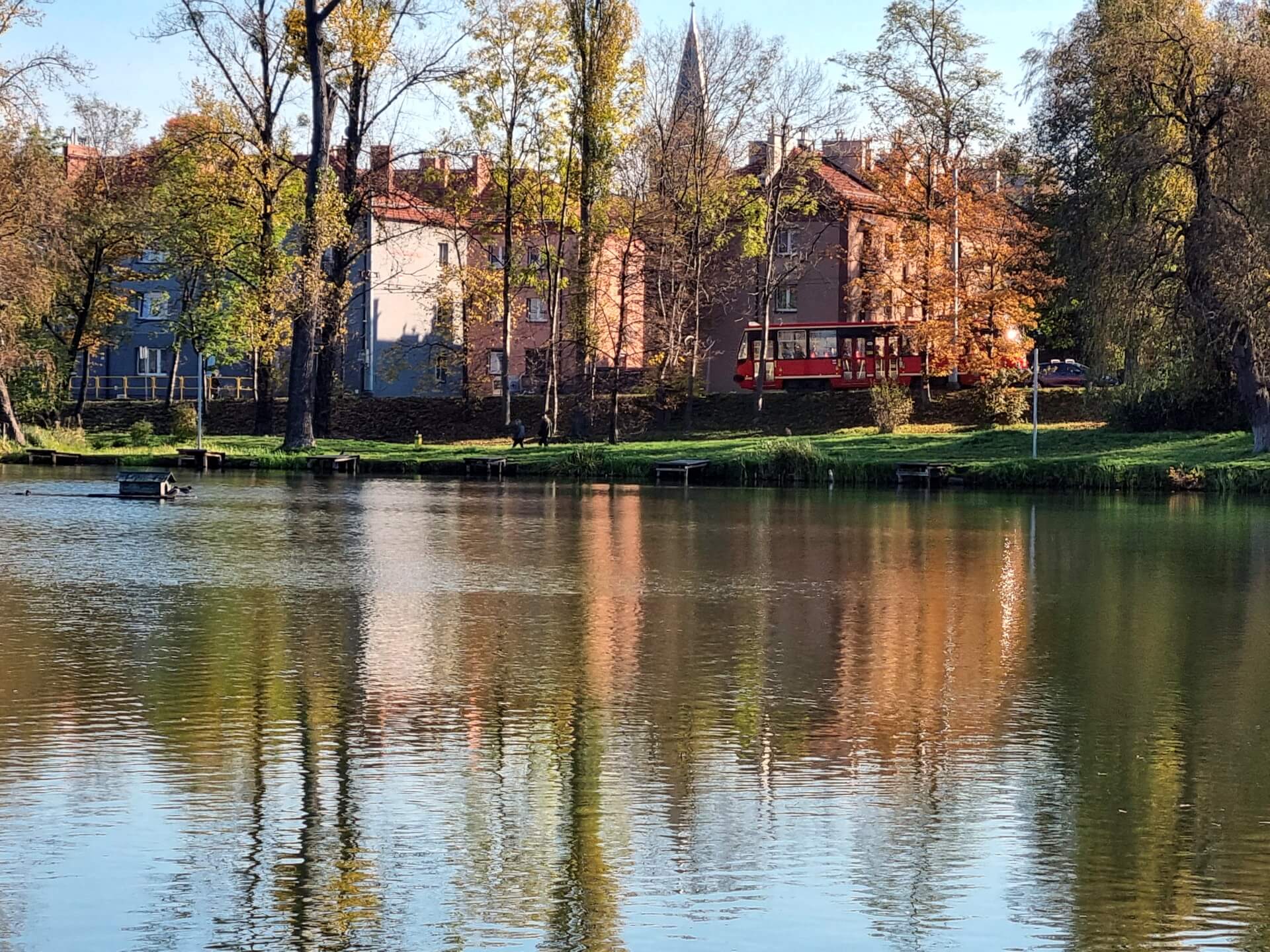 Staw w parku Amendy w Łagiewnikach