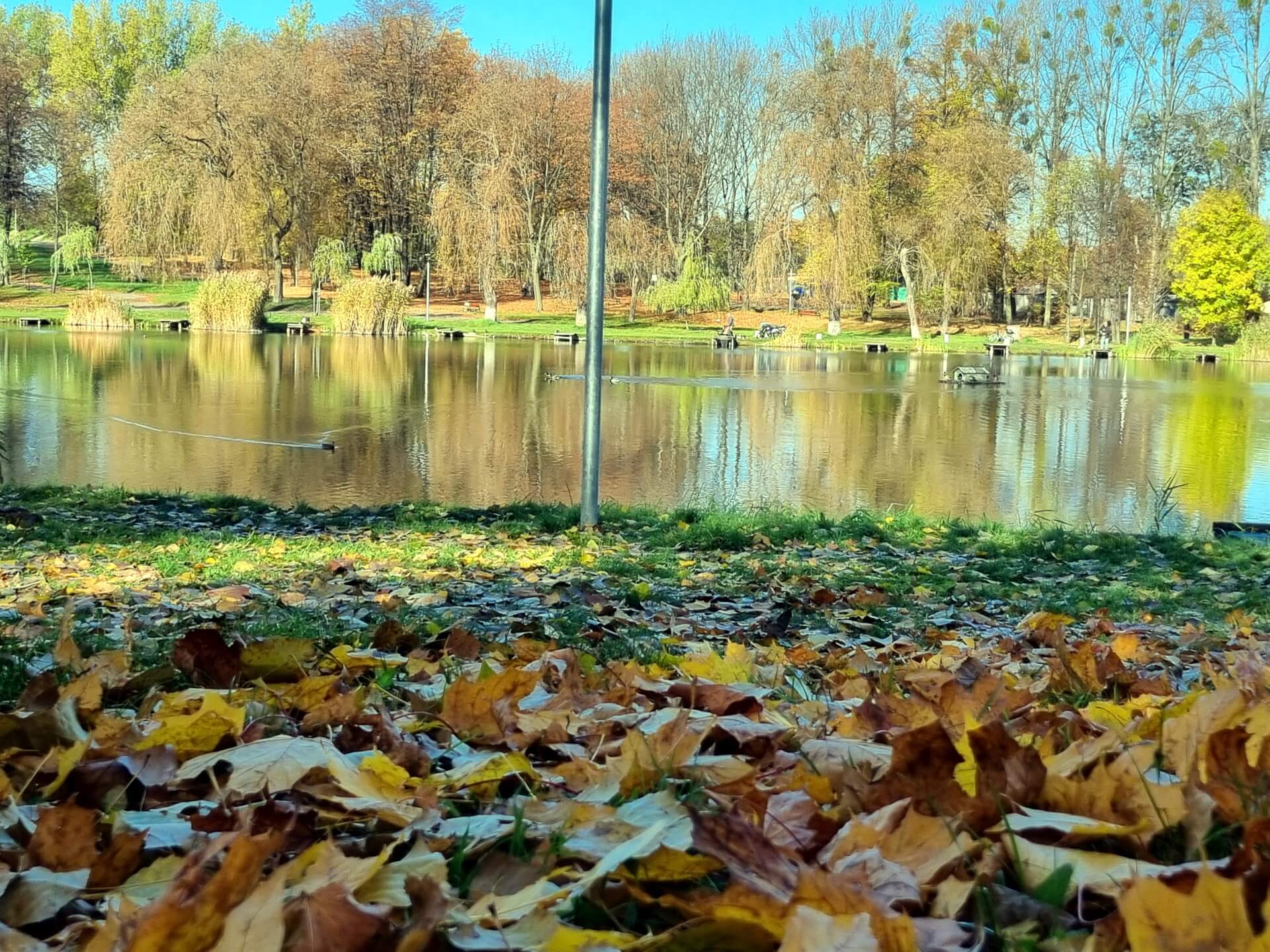 Staw w parku Amendy w Łagiewnikach