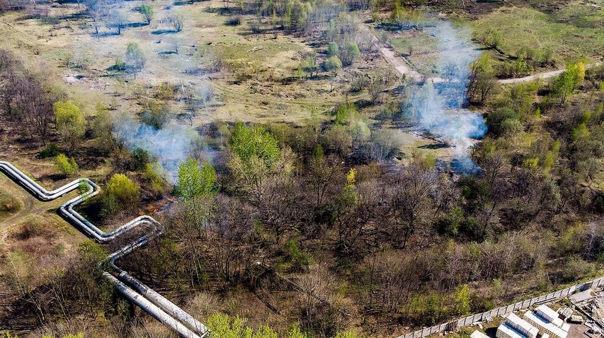 Byt pozartrawy Byt pozartrawy