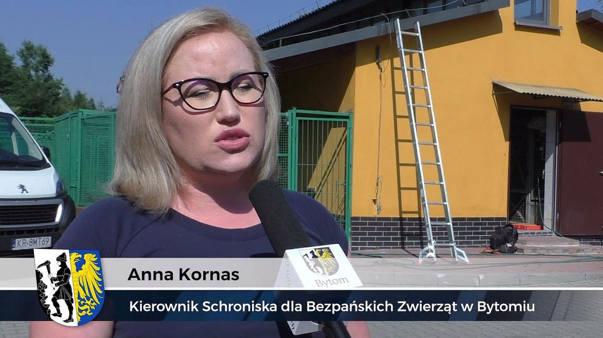 Byt schronisko bytom Byt schronisko bytom