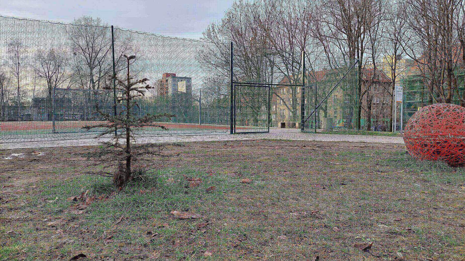 Choinka na skwerze Szynol Choinka na skwerze Szynol