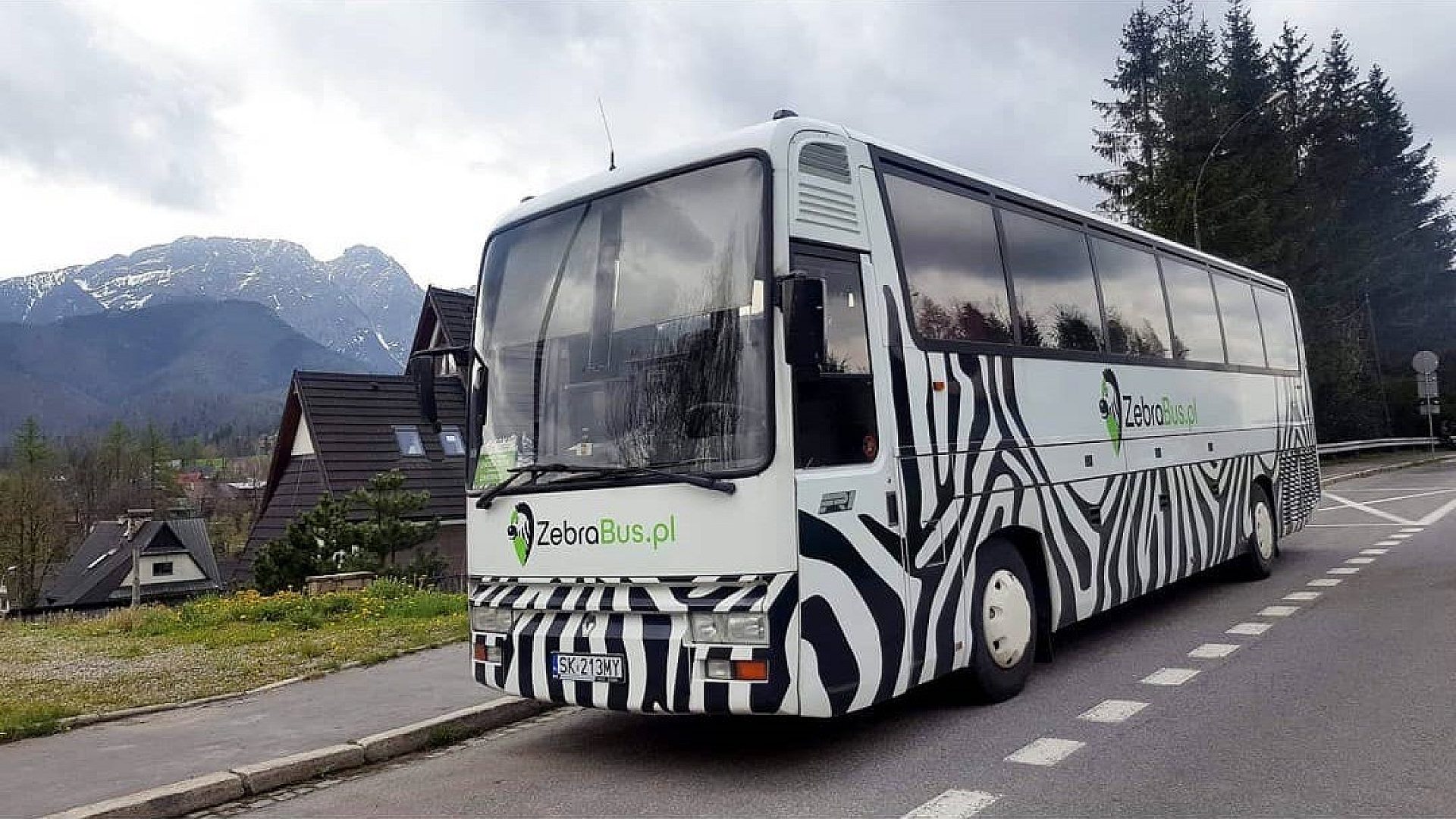 Byt zebrabus Byt zebrabus