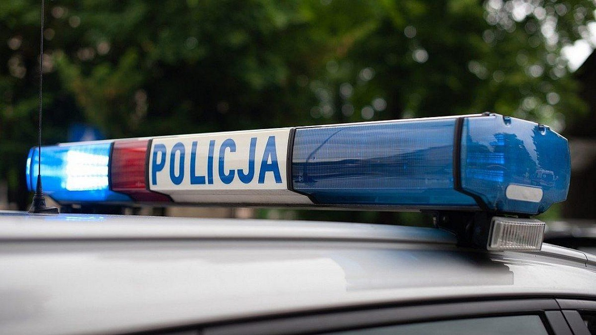 Policja Policja