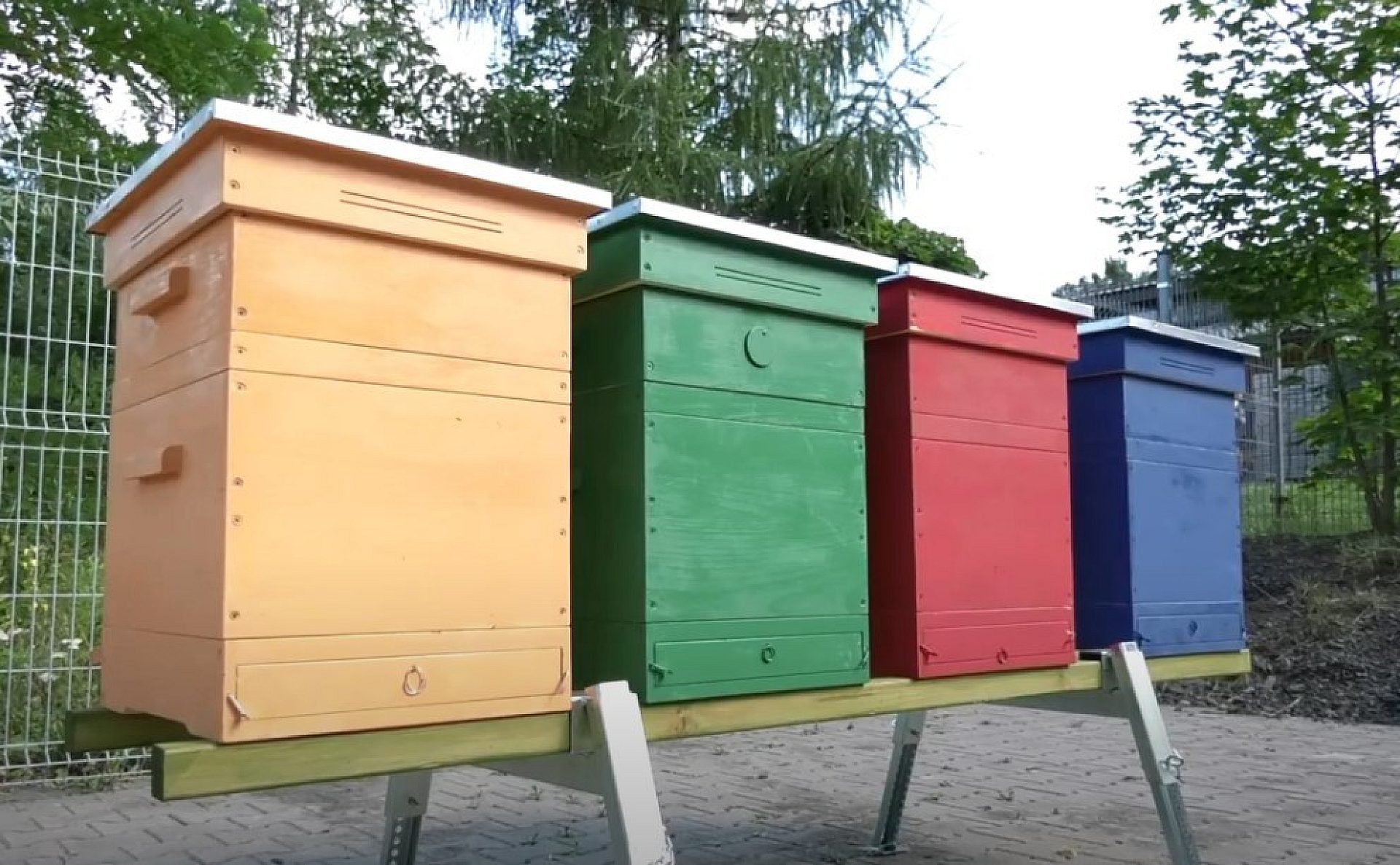 Byt Pasieki w bytomskim schronisku dla bezpańskich zwierząt Byt Pasieki w bytomskim schronisku dla bezpańskich zwierząt