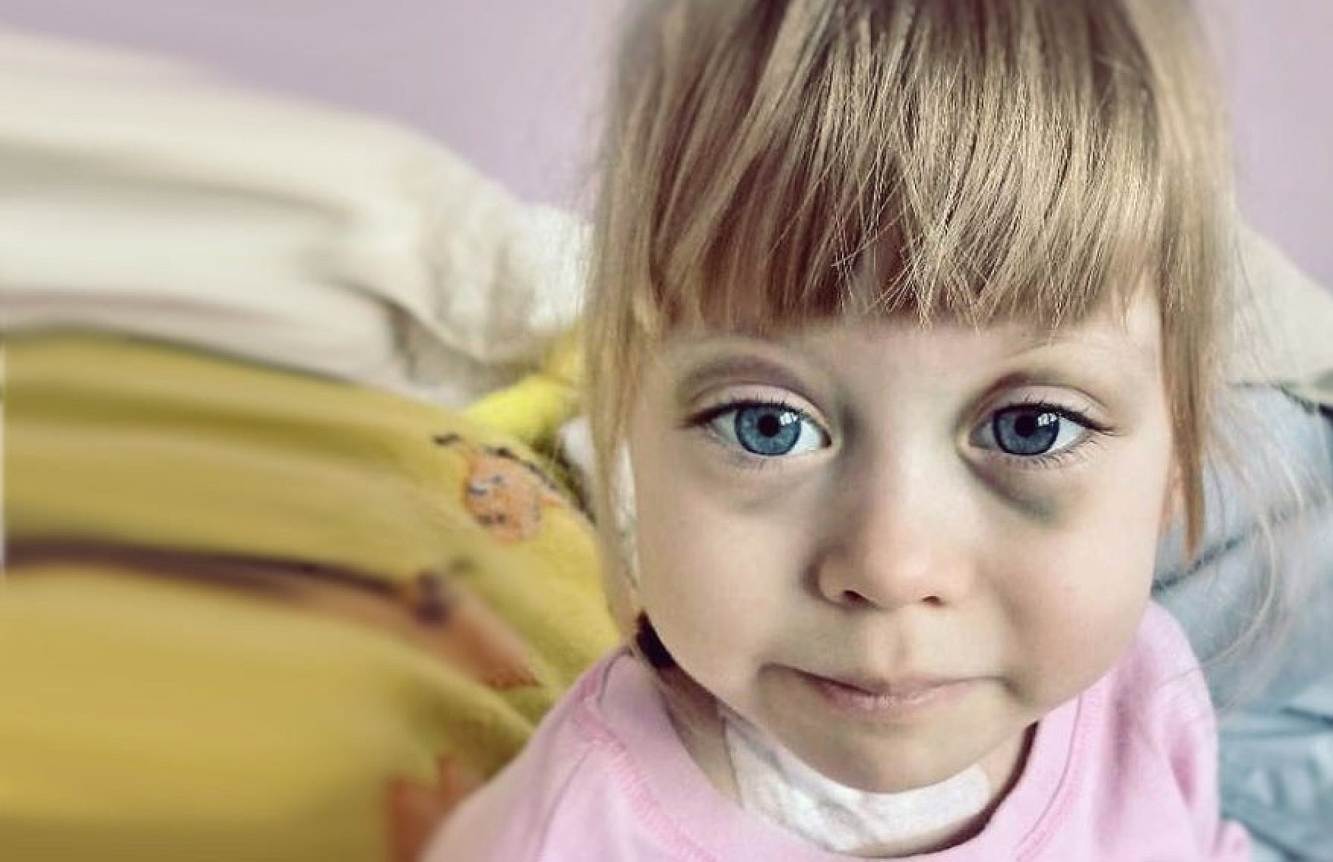 Byt maja krzaczek Byt maja krzaczek