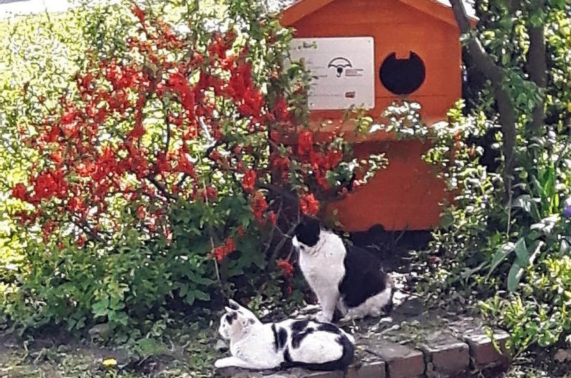 Byt kocia chata miechowice Byt kocia chata miechowice