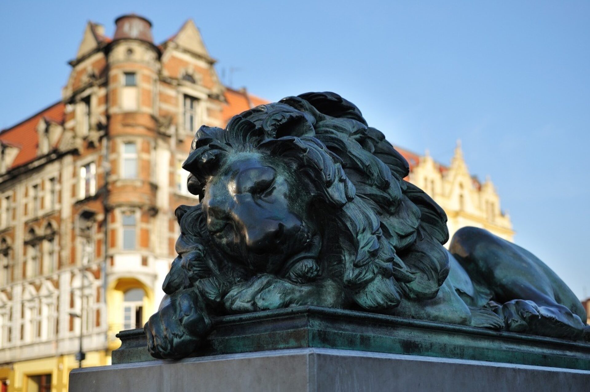 Śpiący lew Śpiący lew