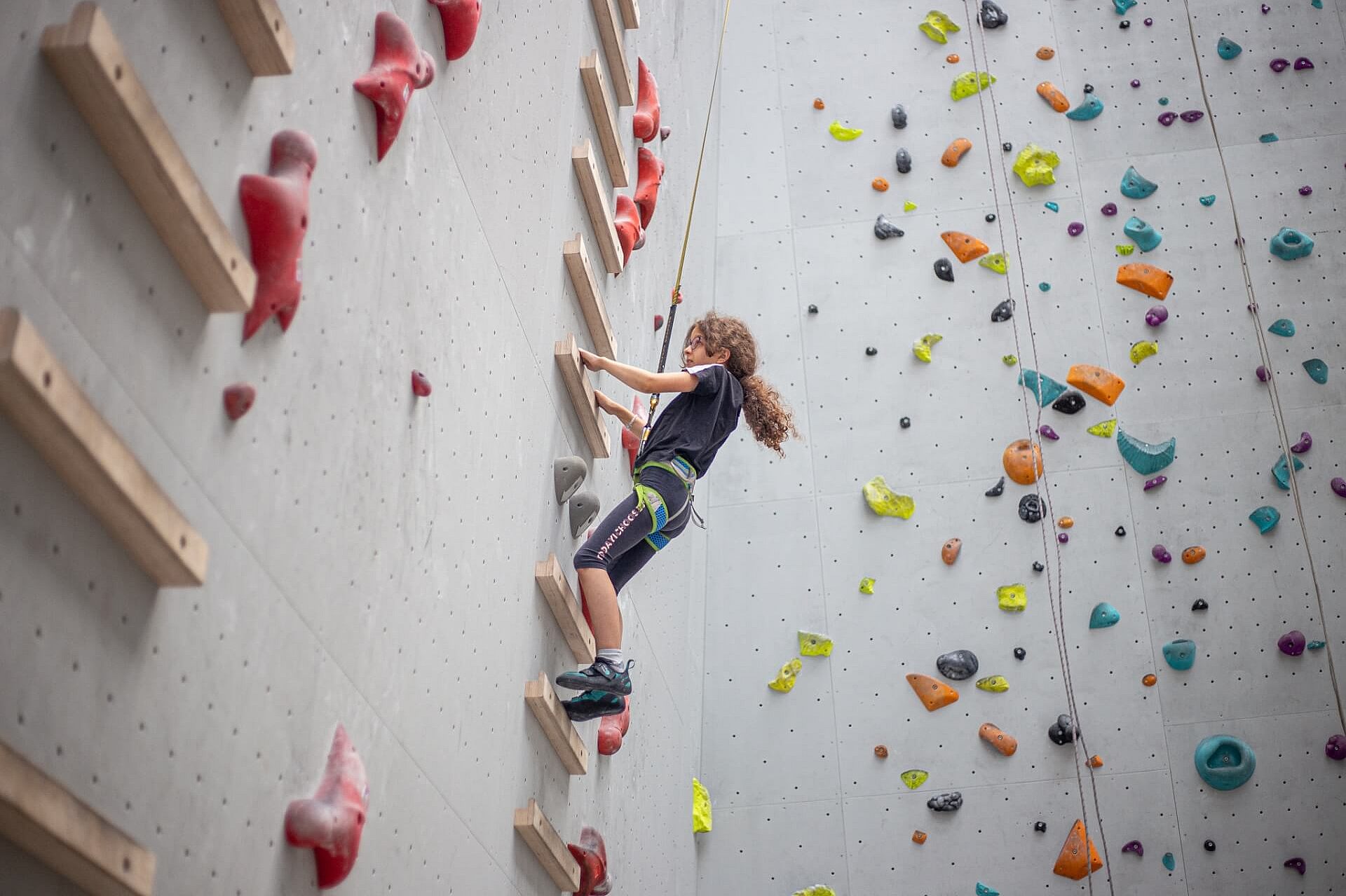 Półkolonie Półkolonie