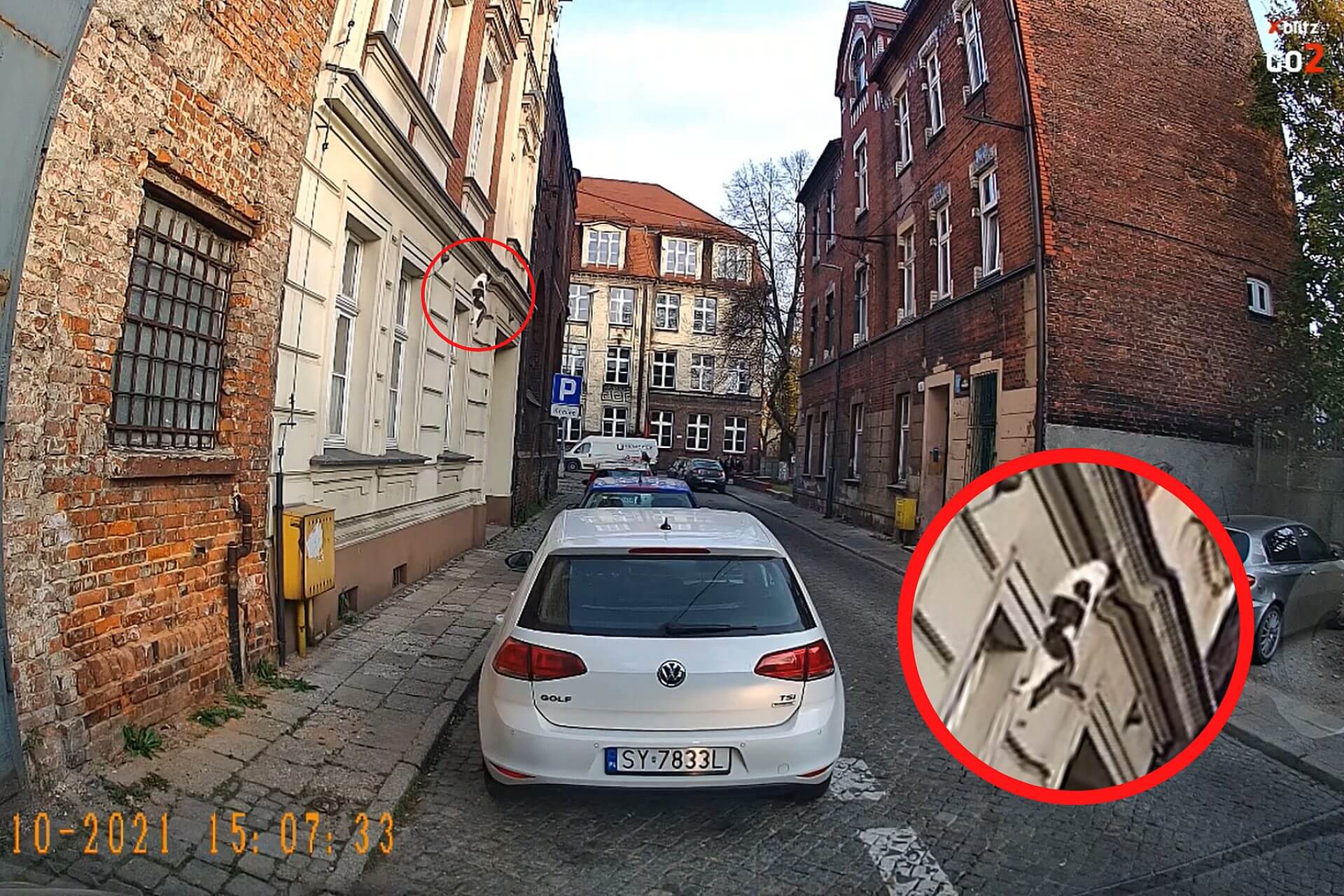 Kot wypadł z okna kamienicy Kot wypadł z okna kamienicy