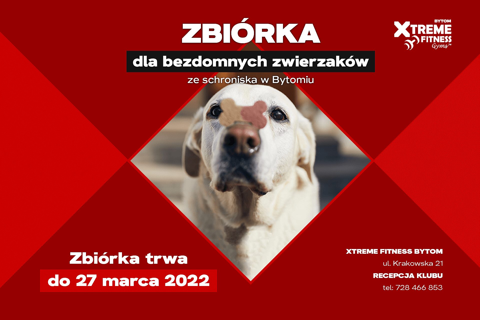 220309 zbiorka 1920x1280 220309 zbiorka 1920x1280