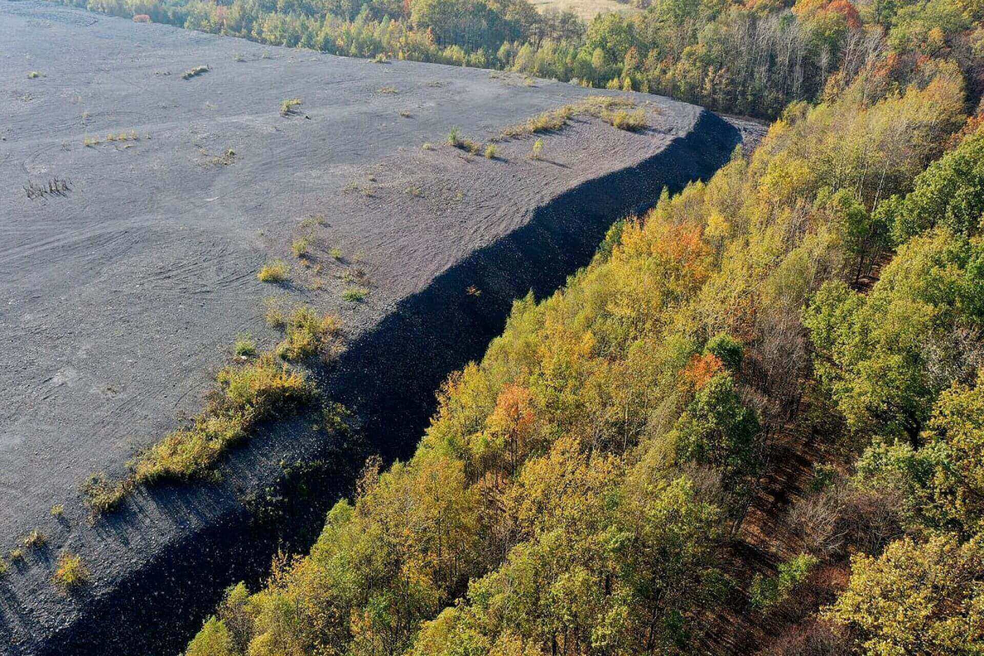 Byt halda w lesie Byt halda w lesie