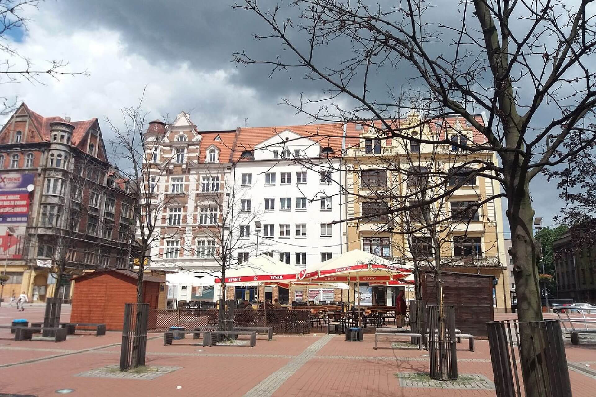 Byt wyschniete drzewa na rynku Byt wyschniete drzewa na rynku
