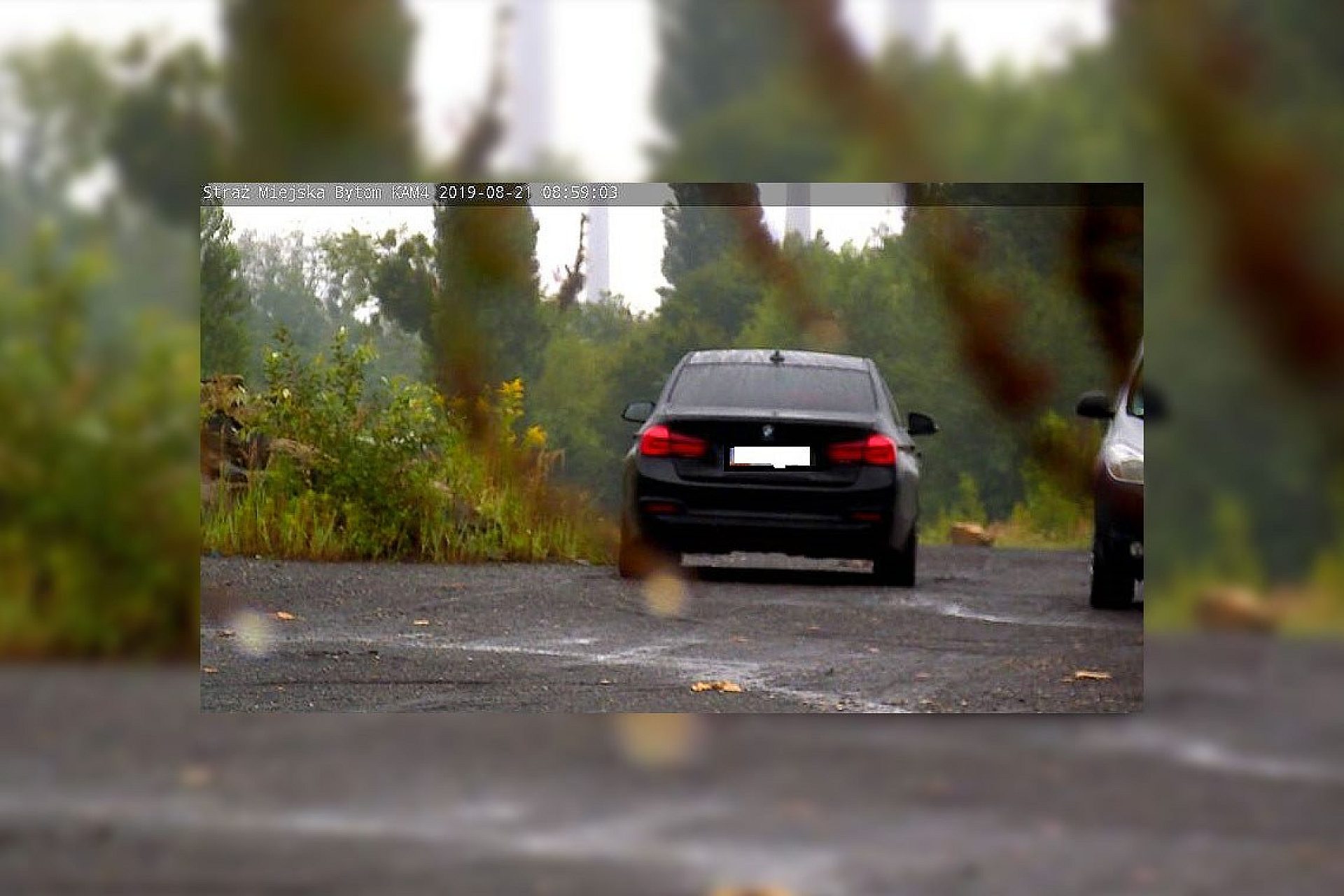 Byt zdjecie z fotopulapki Byt zdjecie z fotopulapki