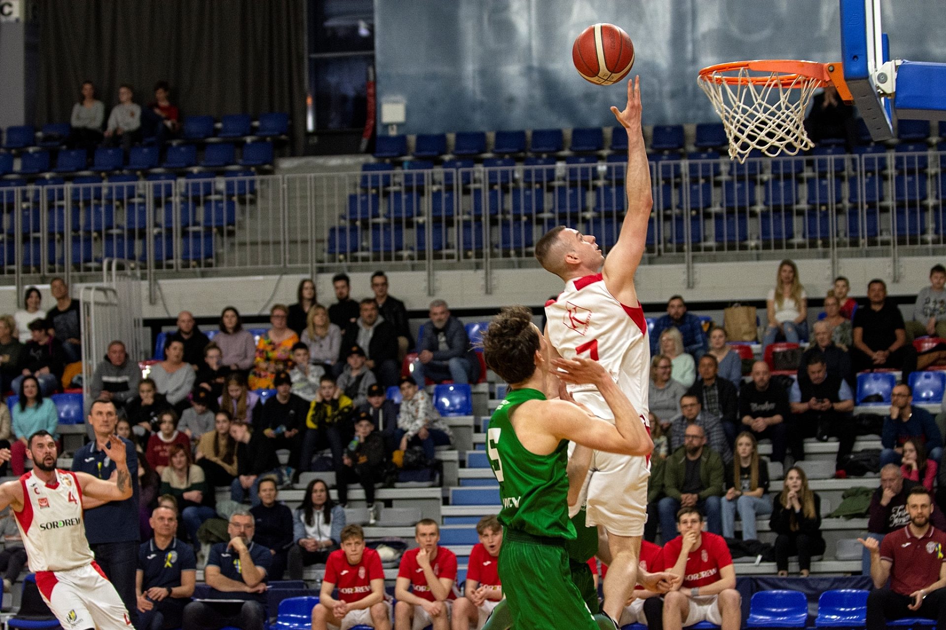 Polonia bytom gtk gliwice koszykówka 2 liga Polonia bytom gtk gliwice koszykówka 2 liga