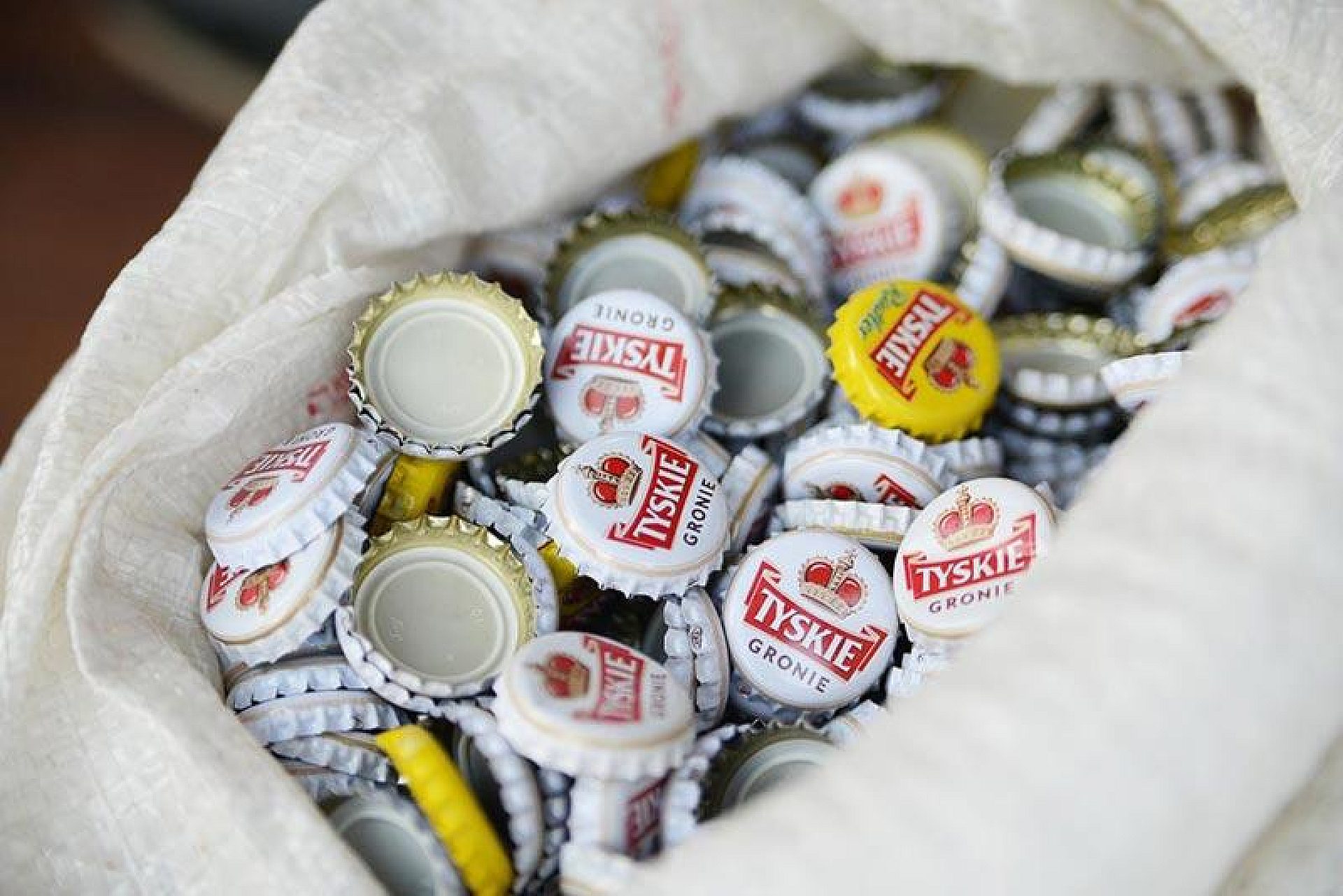 Byt kapsle zbiorka Byt kapsle zbiorka