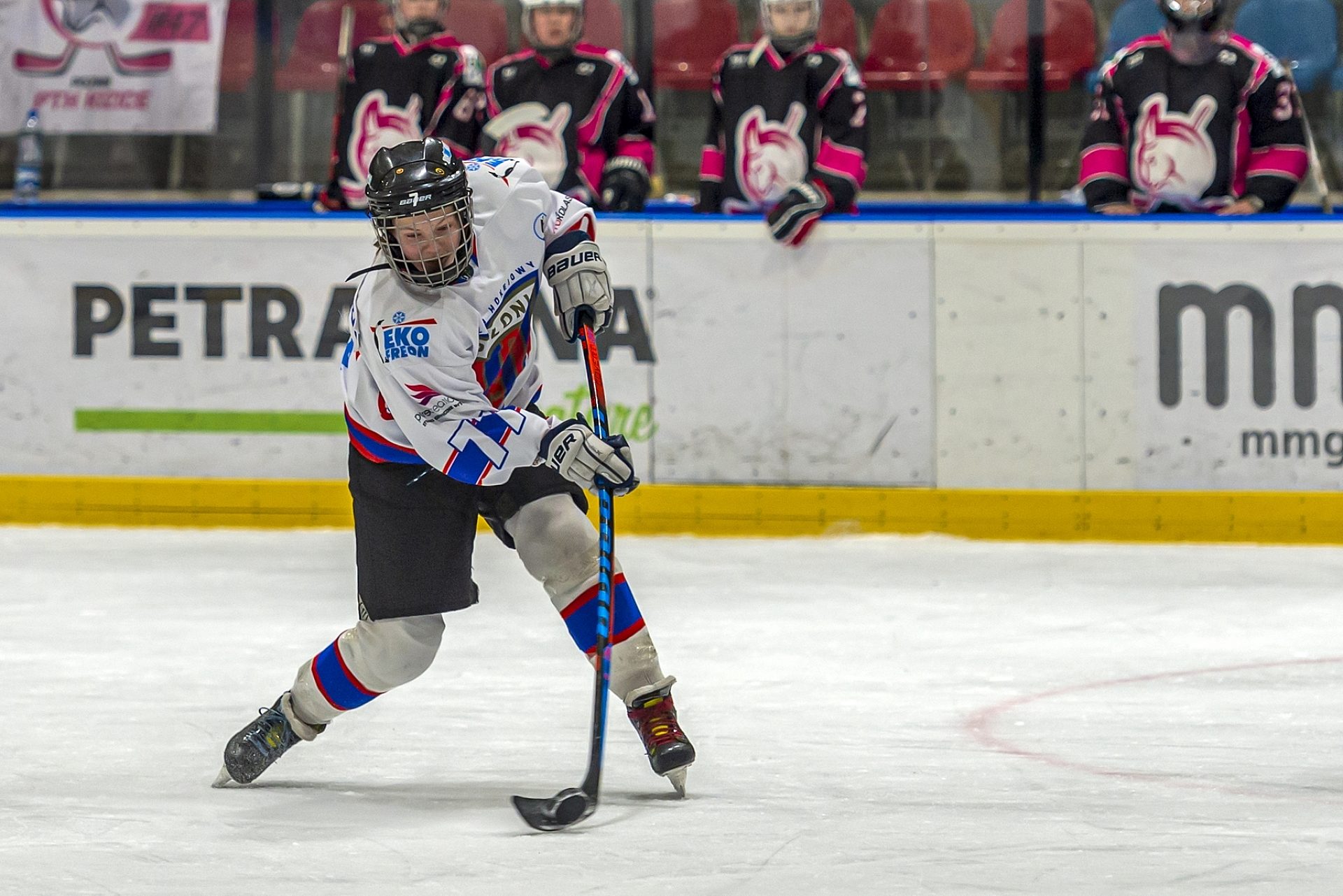 D4 N 8422 kopia D4 N 8422 kopia