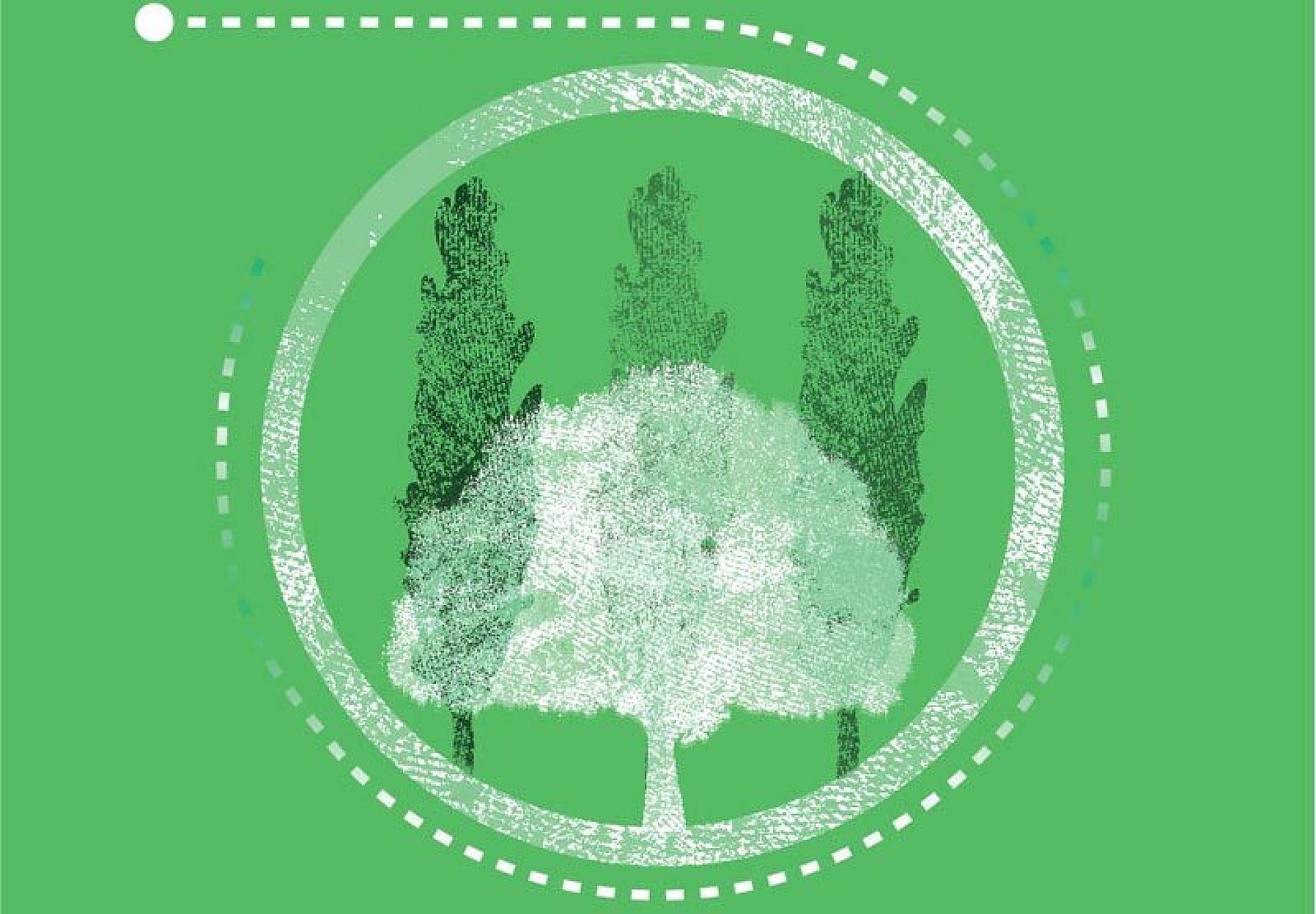 Byt seminarium drzewo Byt seminarium drzewo