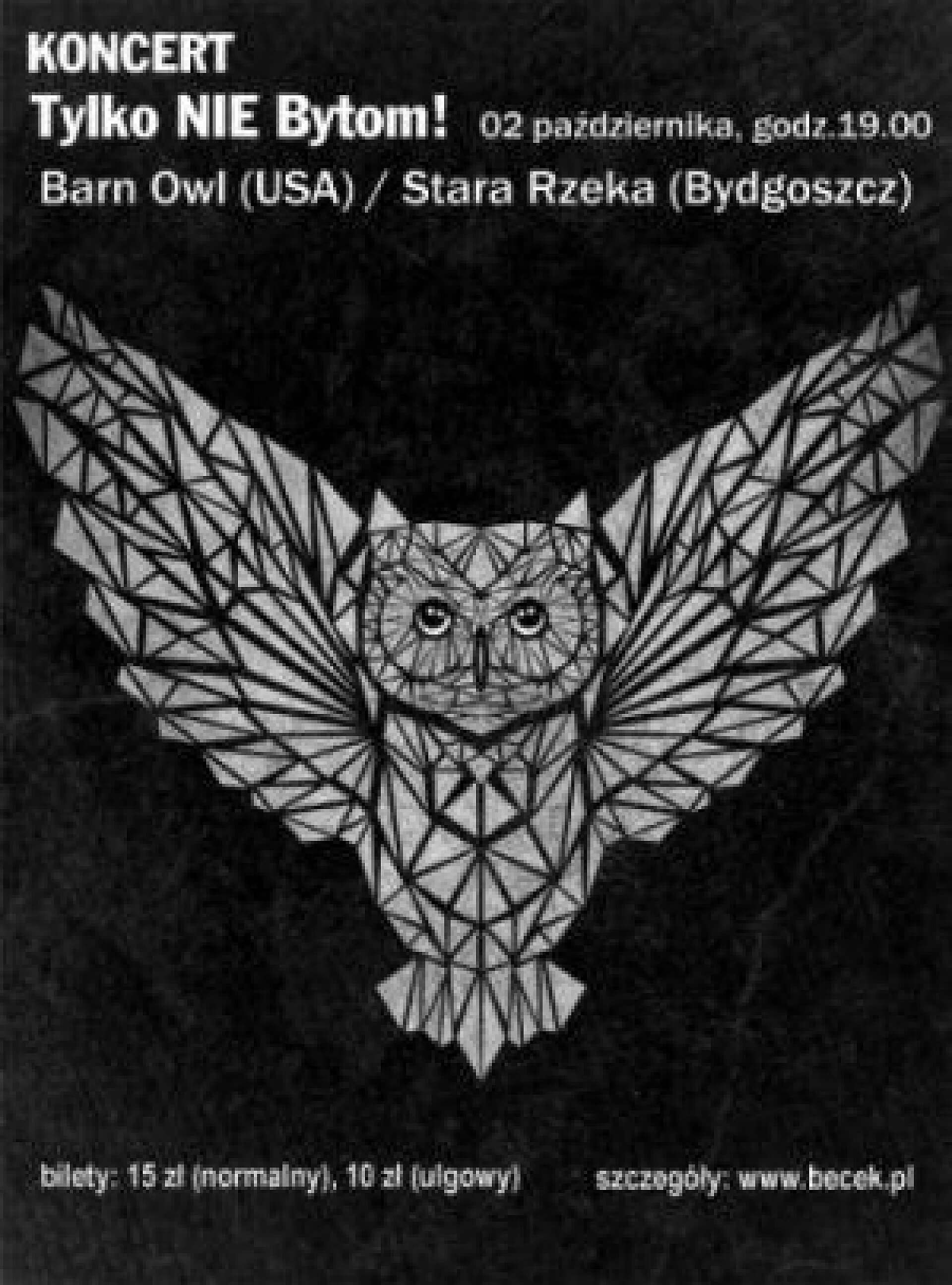 Bytomski2 52394d2365f8f8 59993553 Bytomski2 52394d2365f8f8 59993553