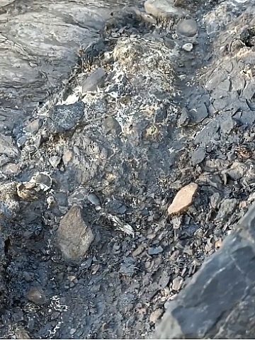 Hałda i fetor Bytom Hałda i fetor Bytom