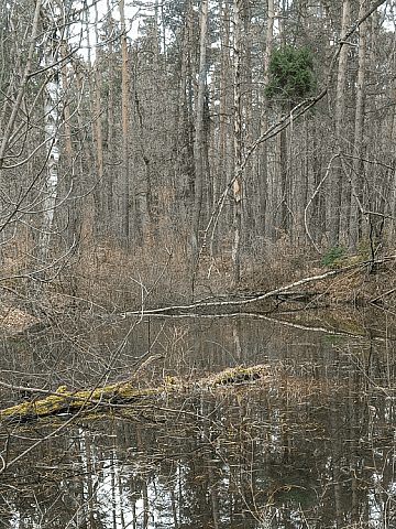 Rezerwat Segiet Rezerwat Segiet