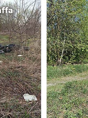 Wysypiska dzikie Bytom usnięte Wysypiska dzikie Bytom usnięte