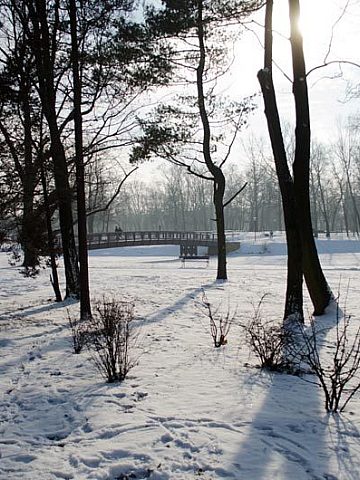 Byt bytom parki zima02 Byt bytom parki zima02