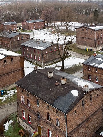 Byt kolonia zgorzelec zima Byt kolonia zgorzelec zima