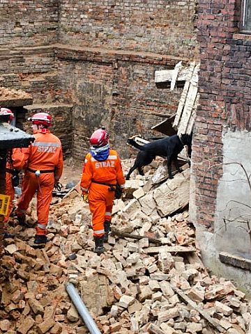 Byt ruina musialika4 Byt ruina musialika4