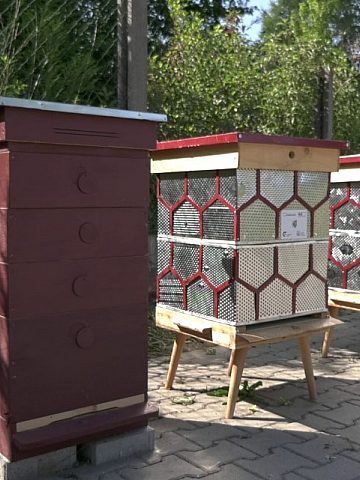 Byt ule bytom1 Byt ule bytom1