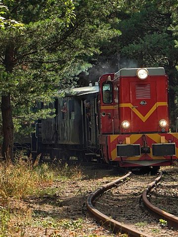 Byt waskotorowka Byt waskotorowka