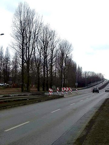 Byt wroclawska zwezenie Byt wroclawska zwezenie