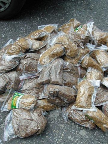 Bytomski5 39 231809 Bytomski5 39 231809