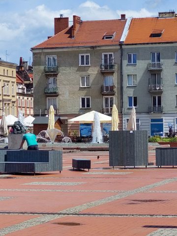 Nowe donice zostaną obsadzone roślinami Nowe donice zostaną obsadzone roślinami