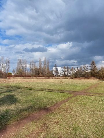 Dawne boisko Czarnych Bytom przy ul. Wrocławskiej Dawne boisko Czarnych Bytom przy ul. Wrocławskiej