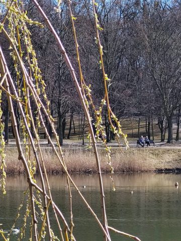 Wiosna w Parku Kachla w Bytomiu Wiosna w Parku Kachla w Bytomiu