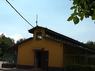 Azyl dla egzotycznych zwierząt Azyl dla egzotycznych zwierząt
