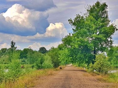Decyzja wojewody ws Żabich Dołów to błąd urzędniczy Decyzja wojewody ws Żabich Dołów to błąd urzędniczy