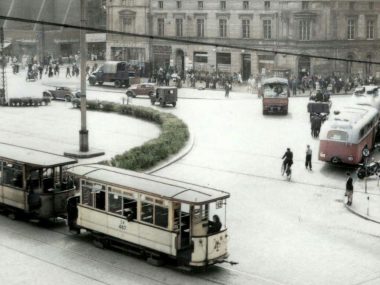 W Chorzowie tramwaj przejechał leżącego na torach wielbłąda Tramwaj Rynek Katowice
