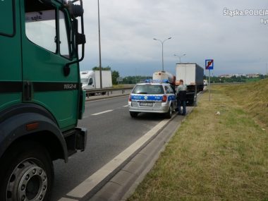 Byt 39 355794 Byt 39 355794