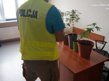 Byt 39 541764 Byt 39 541764