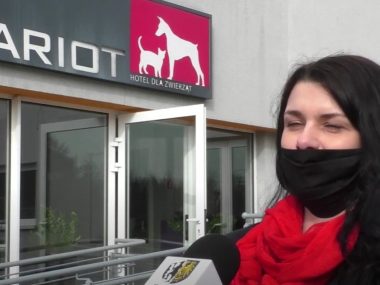 Byt Bytom Pomoc dla wolno żyjących kotów