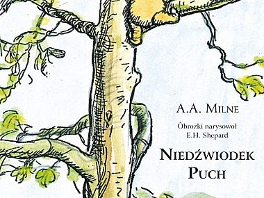 Byt Niedzwiodek Puch1 Byt Niedzwiodek Puch1