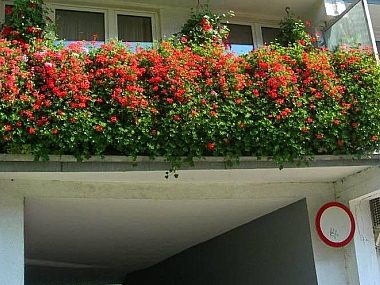 Byt balkon Byt balkon