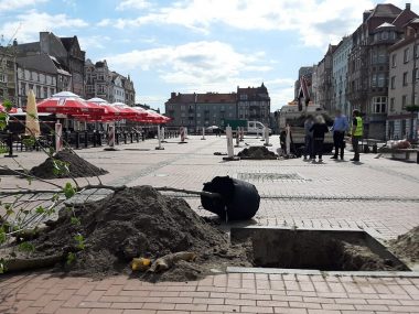 Drzewa powróciły na Rynek. Zmian jednak będzie więcej Byt sadzenie drzew na rynku 01