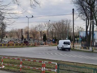Byt skrzyzowanie zabrzanskiej modrzewskiego Byt skrzyzowanie zabrzanskiej modrzewskiego