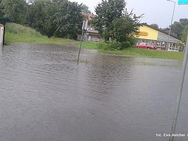 Byt ulewa frenzla biedronka Byt ulewa frenzla biedronka
